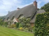 The Cottage - B&B Fyfield