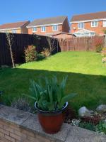 Comfortable Single Bed in Shared Home - B&B Middlesbrough