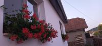 Enikő vendegház - B&B Praid