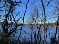 Cozy Cairnwell Farm Cottage - B&B Clunie