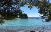 Charming 2BR Cottage by the Sea - Chambres d'hôtes Sućuraj