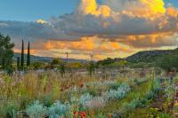 Serene Studio Near Wineries, Oak Creek & Sedona - Chambres d'hôtes Cornville