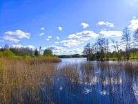 Apartment for two only 20 m from Boruja Lake in Rekowo - B&B Rekowo