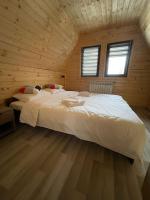 Cabana De Peste Gard - B&B Topliţa