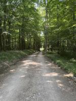Gite au coeur des bois - Le Chêne du Verger - B&B Amboise