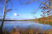 Apartmán Emily - B&B Třeboň