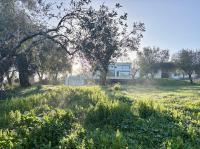 Villa Opaline Corfu - B&B Ágios Ioánnis