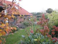 Eulennest - B&B