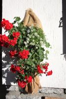 Appartamento con Balcone