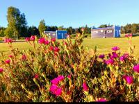 Entre Pinos y Volcanes - B&B Frutillar
