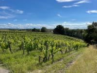 Pavillon du XIXème au milieu des vignes - Bed and Breakfast Soulaines-sur-Aubance