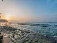 Florain Otium Talpe - Bed and Breakfast Unawatuna