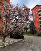 CasaCarmela 7min Linate 4min Unipol Arena-near Station & Fast WiFi-tram diretto per il Duomo - B&B Milano