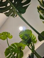 meet happiness - B&B Xiabuxia