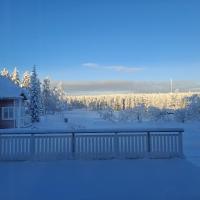 Holiday in the country-only an hour's drive to Rovaniemi - B&B Piittisjärvi