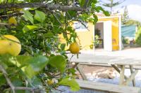 Tiny House Long-term remote work near Valencia - B&B Monserrat