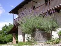 B&B Pocapaglia - Cascina Creusa B&B - Bed and Breakfast Pocapaglia