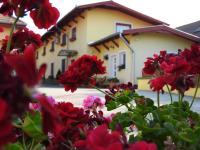 Halász Airport Panzio - B&B Vecsés