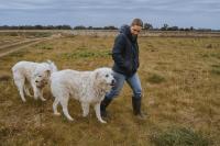 Organic Farm Stay by Tiny Away - B&B Numurkah