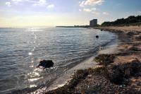 Burgtiefe Südstrand "Hafenliebe" - Ferienwohnung Fehmarn