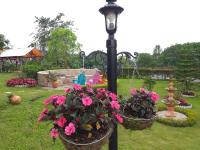 El Oasis Organic Farm - B&B Piedecuesta