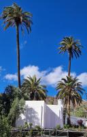 Ferienwohnung mit Panoramablick in der Finca Gran Calma - ideal für Wanderer - B&B Santa Lucía