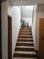 Widlakówka - B&B Rzepiska