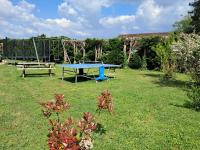 Gîte proche zoo de beauval et des châteaux de la loire - B&B Chémery