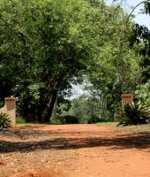 Boschoek Farm - B&B