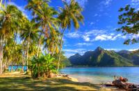 Tropical paradise near Taahiamanu beach - B&B Orufara