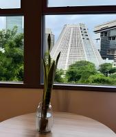Arcos da Lapa | Moderno | Ar Condicionado - Bed and Breakfast Rio de Janeiro