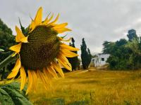 The Barn, at Glenora Avenue - B&B Somerset West
