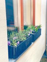 Weinquartier Weingarten DAS LOFT - B&B Naumburgo