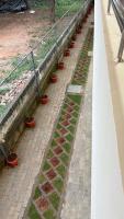Sky stay - B&B Thanjavur