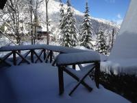 B&B Kopaonik - Holiday Home Minja - Bed and Breakfast Kopaonik