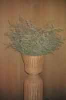 Vandoma Serviced Apartments - B&B Oporto