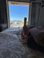 Small Oasis-Über den Dächern von Athen - B&B Atene