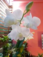 65 Pradit - B&B Nakhon Phanom
