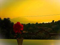 Sea view house I - B&B Dílesi