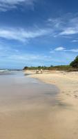 Tropical House Relaxation with Private Pool - B&B Santa Cruz