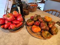 The Roost at Hidden Owl Farmstead - Luxury 1 Bdrm Cottage near Wineries and Lake - Chambres d'hôtes Eugene
