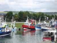 Vakantiehuis met 3 Slaapkamers 