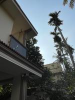 Jacob's Homestay - B&B Thiruvananthapuram