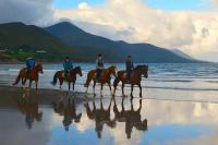The Suite at O'Shea's - B&B Killorglin
