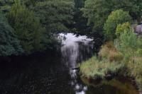 Woodlyn Guest House - Bed and Breakfast Gatehouse of Fleet