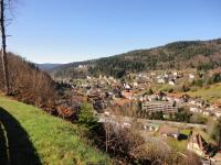 Apartement 12 in Kupferkanne - B&B Todtmoos