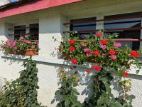 Le gîte a momo - B&B Annoire