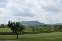 Dog Friendly Winery Cabin - Chambres d'hôtes Mount Airy