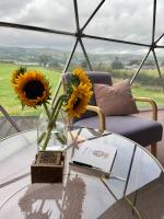 The Dome at Midauchengowan - Bed and Breakfast Lochwinnoch