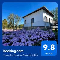 Miracle Houses Къщи за гости Чудеса - B&B Varshets